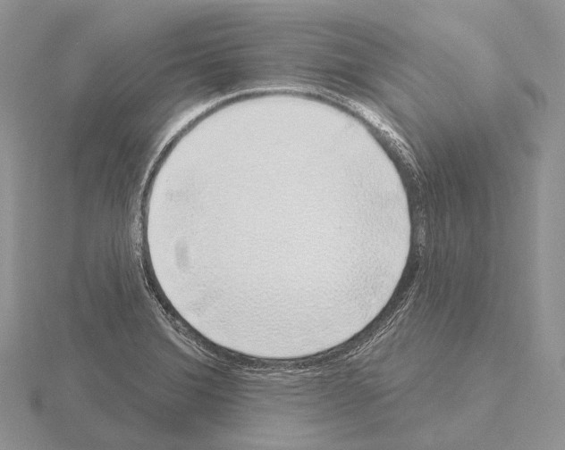 X0000115161372200912081359