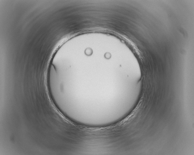 X0000115161373200912081359