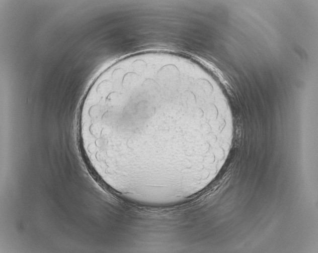 X0000115161375200912081359