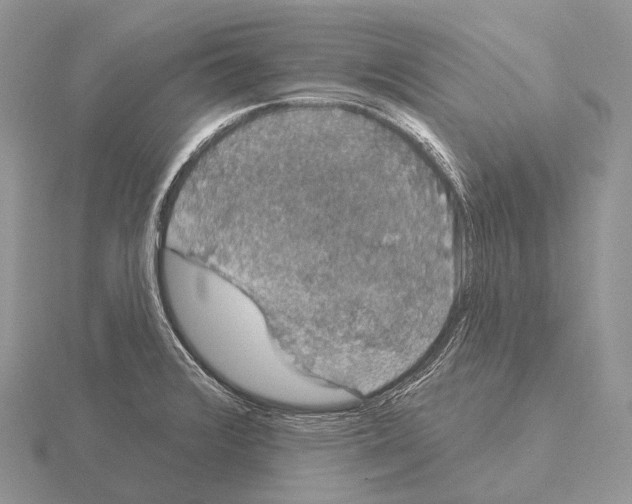 X0000115161376200912081359