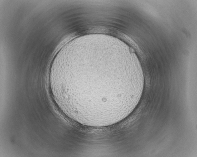 X0000115161378200912081359