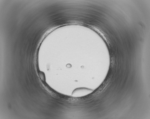 X0000115161379200912081359