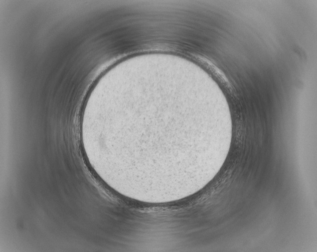 X0000115161380200912081359