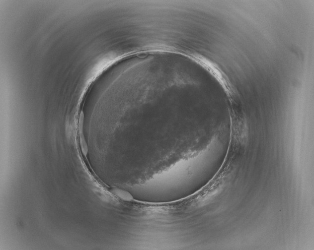 X0000115161381200912081359