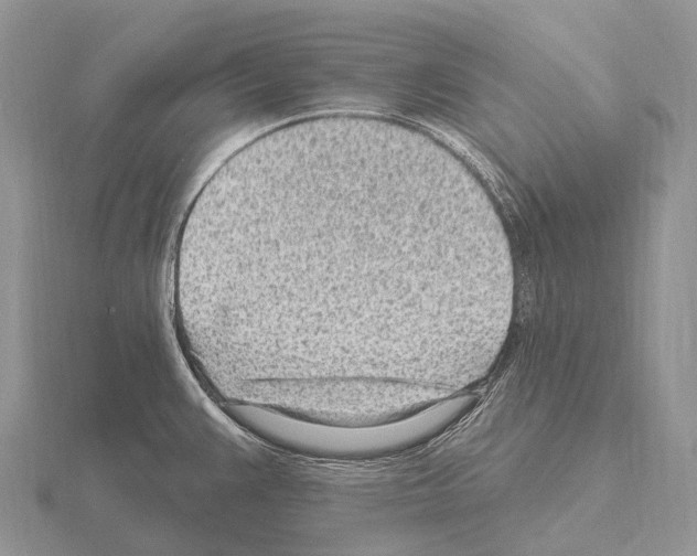 X0000115161383200912081359