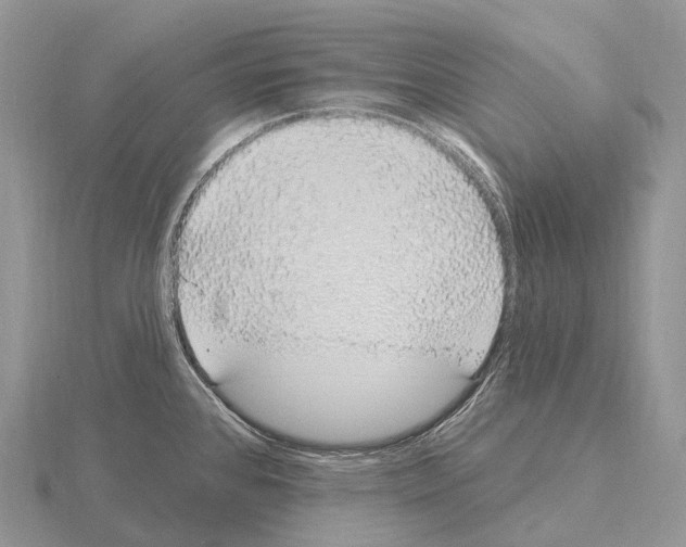 X0000115161384200912081358