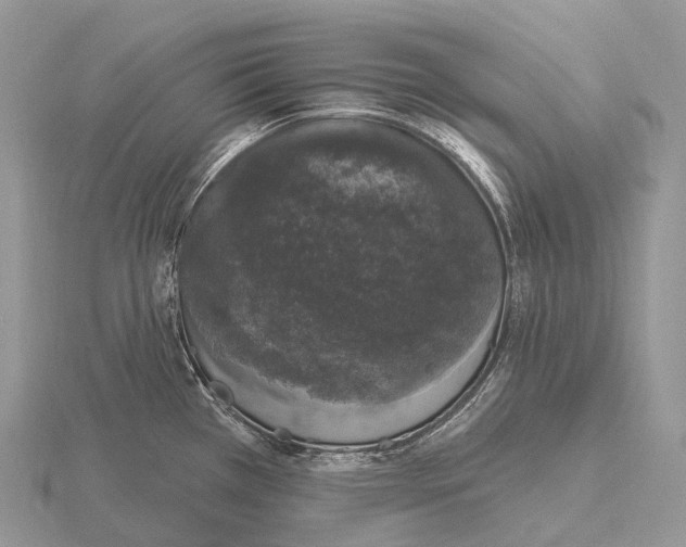 X0000115161385200912081358