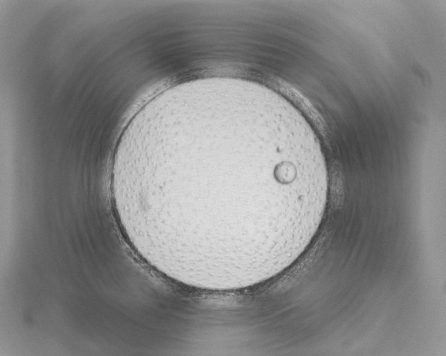 X0000115161386200912081358