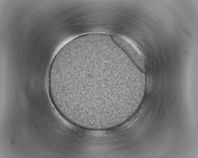 X0000115161387200912081358