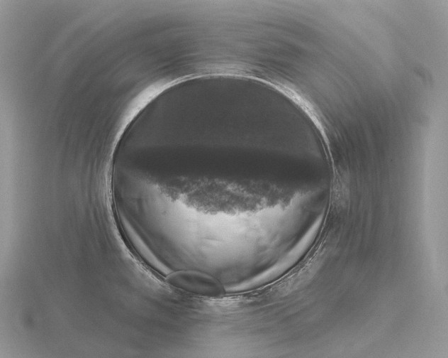 X0000115161389200912081358