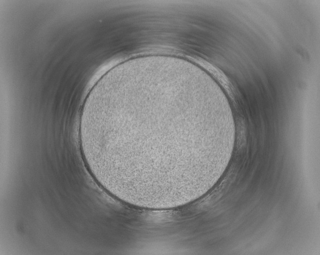 X0000115161390200912081358