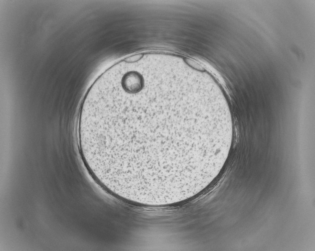 X0000115161391200912081358