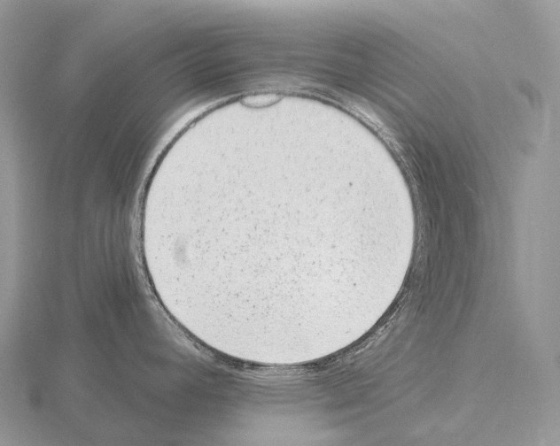 X0000115161392200912081358