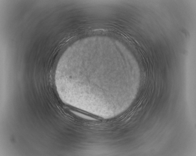 X0000115161394200912081358