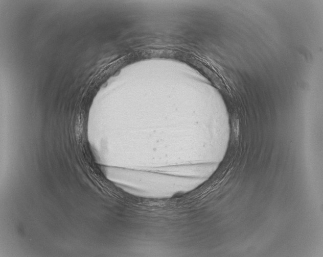 X0000115161396200912081358