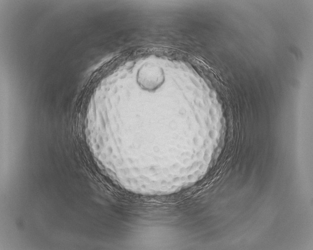 X0000115161398200912081358