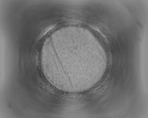 X0000115161399200912081358