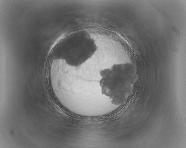 X0000115161400200912081358