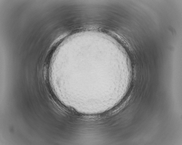 X0000115161402200912081358