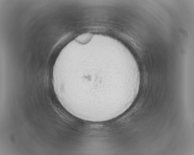 X0000115161403200912081358