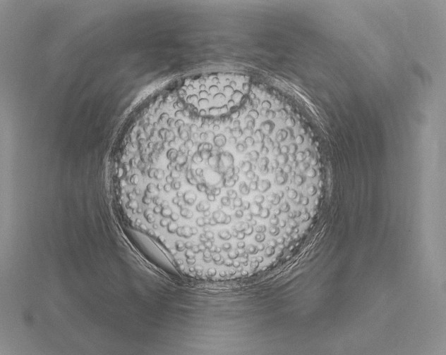 X0000115161404200912081358