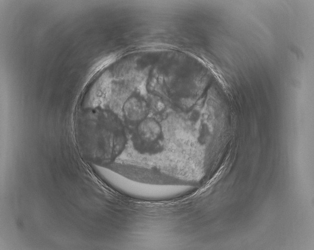 X0000115161405200912081358