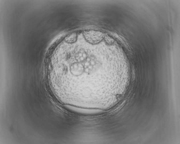 X0000115161406200912081358