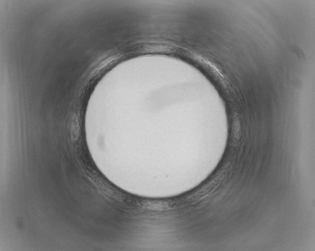 X0000115161407200912081358