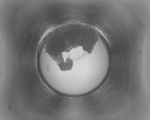 X0000115161408200912081358