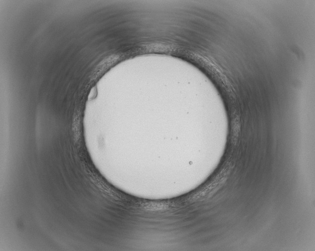 X0000115161409200912081358