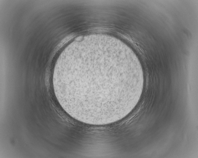 X0000115161410200912081358