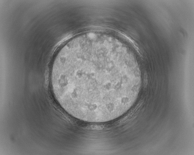 X0000115161411200912081358