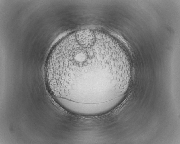 X0000115161412200912081358