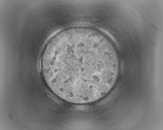 X0000115161413200912081358