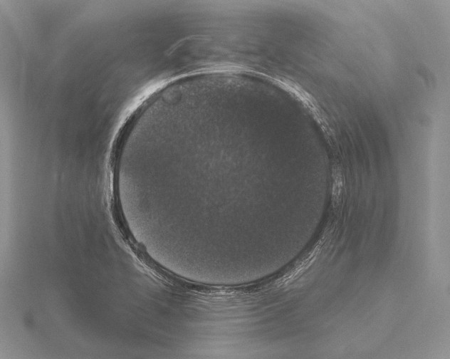 X0000115161414200912081358