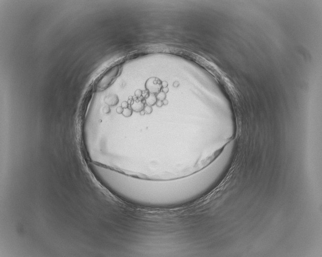 X0000115161416200912081358