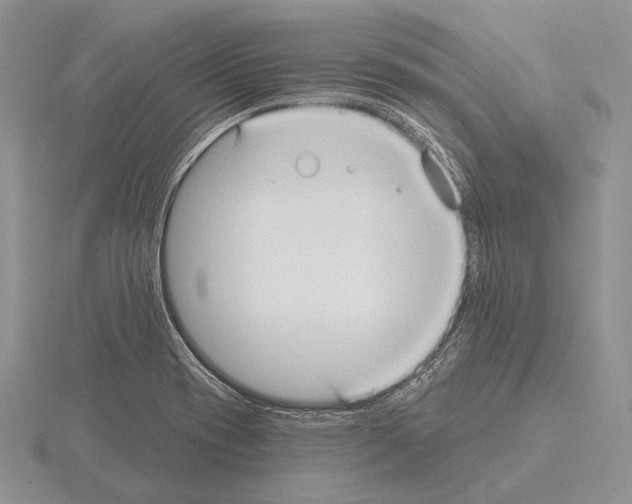 X0000115161417200912081358