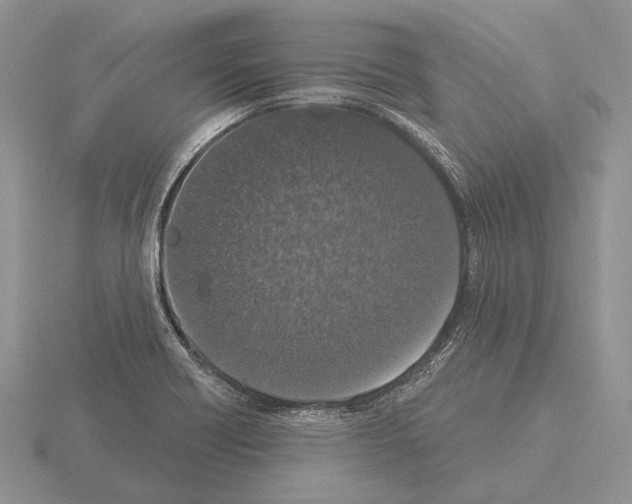 X0000115161418200912081358