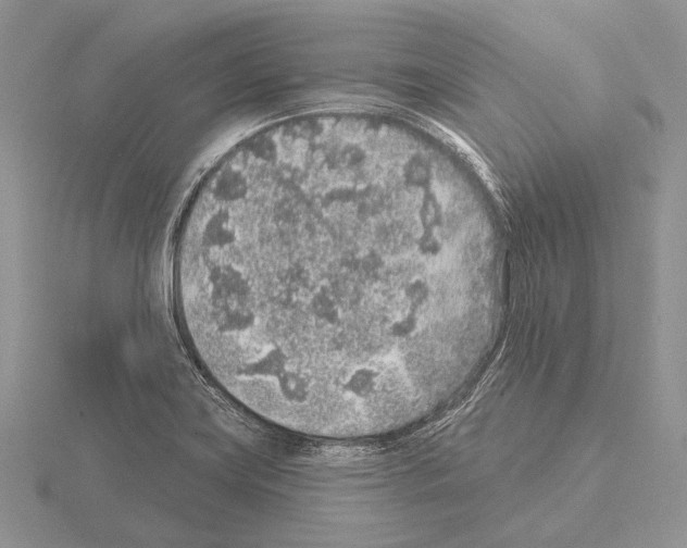 X0000115161419200912081358