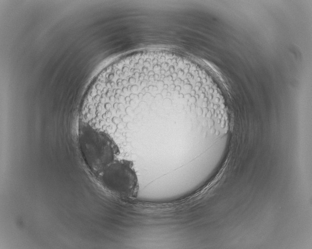 X0000115161420200912081358