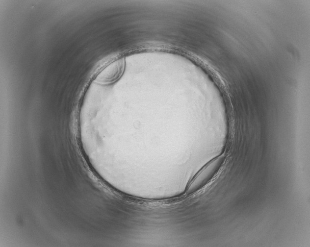 X0000115161421200912081358