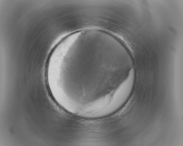 X0000115161422200912081358