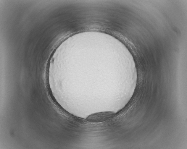 X0000115161423200912081358