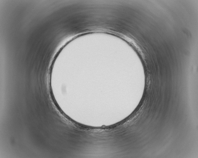 X0000115161424200912081358