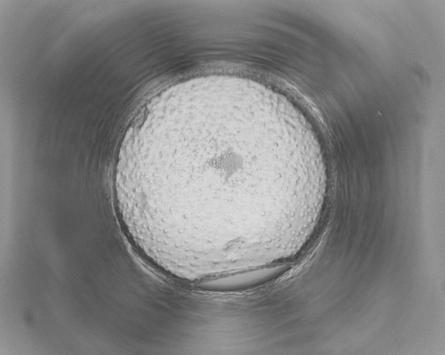 X0000115161425200912081358