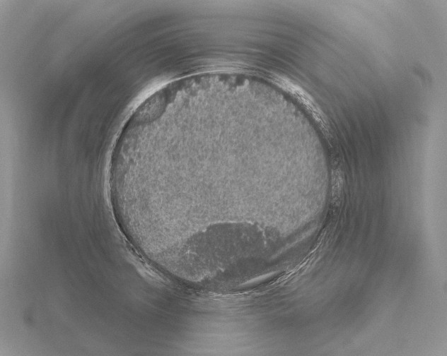 X0000115161427200912081358