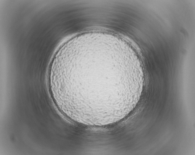 X0000115161429200912081358