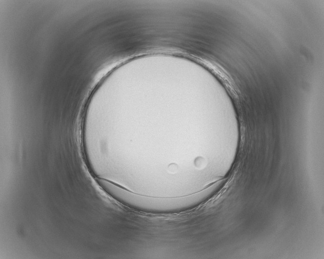 X0000115161430200912081358