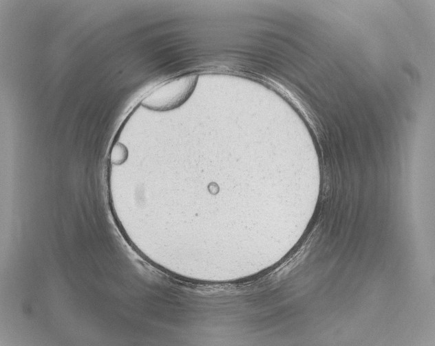 X0000115161434200912081358