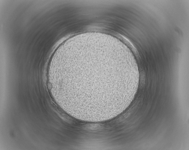 X0000115161435200912081358